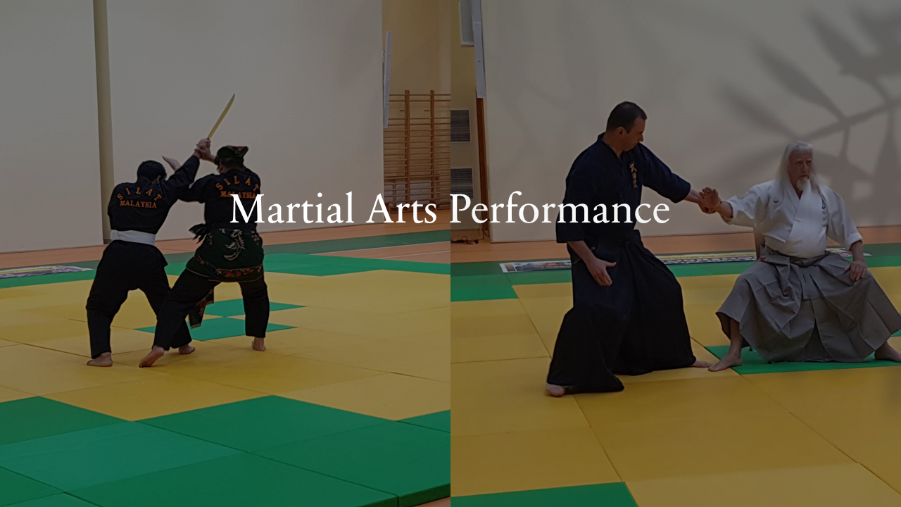 Martial Arts Performances